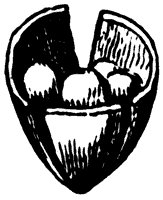 claytonia-pod_1_sm.gif