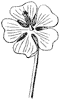 flower_33_th.gif