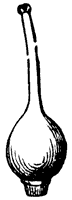 pistil_7_sm.gif