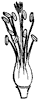 stamen_5_th.gif