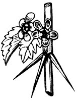 flower_40_sm.gif