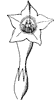 flower_53_th.gif