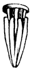 stamens_1_th.gif