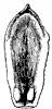 cone_3_th.gif