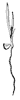 seed_12_th.gif