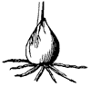 bulb_2_th.gif