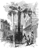 palmetto_sc_1_th.gif