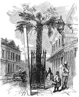 palmetto_sc_1_sm.gif