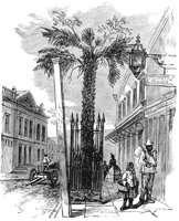 palmetto_sc_1_md.gif