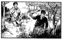 quixote_6_sm.gif