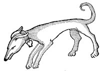 dog_12_sm.gif