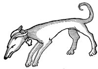 dog_12_lg.gif