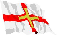FLAG010B.WMF