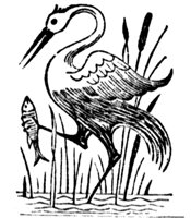 bird_1_md.gif