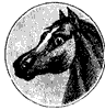 horse-head_1_th.gif