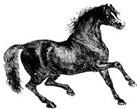 horse_6_sm.gif