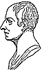 cicero_1_th.gif
