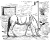 horse_6532_th.gif