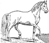 horse_6554_th.gif