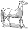horse_6590_th.gif