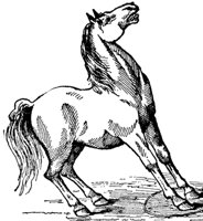 horse_6591_md.gif