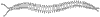 centipede_6854_th.gif