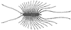 centipede_6855_th.gif