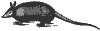 armadillo_7050_th.gif