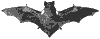 red-bat_7052_th.gif