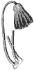 stone-lily_7081_th.gif