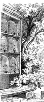 beehive_7184_lg.gif