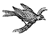 canary_7209_th.gif