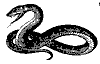snake_7221_th.gif