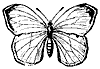 butterfly_7226_th.gif