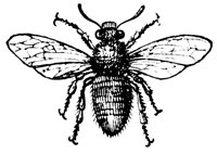 bee_7231_lg.gif