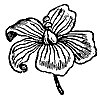 flax_7250_th.gif