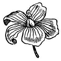 flax_7250_sm.gif