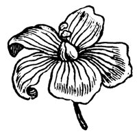 flax_7250_md.gif