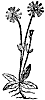 aster_7262_th.gif