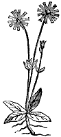 aster_7262_sm.gif