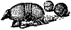 armadillo_7263_th.gif