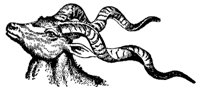 antelope_7284_md.gif