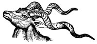 antelope_7284_lg.gif
