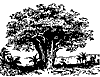 baobab_7291_th.gif