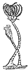 crinoid_7318_th.gif