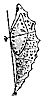 chrysalis_7354_th.gif