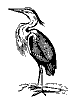heron_7393_th.gif