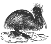 apteryx_7394_th.gif
