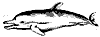 dolphin_7412_th.gif