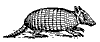 armadillo_7477_th.gif